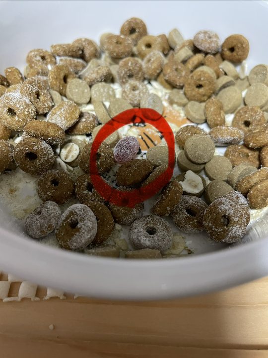 犬用の粉ミルクをまぶしたアンチノールのカプセル(赤丸)