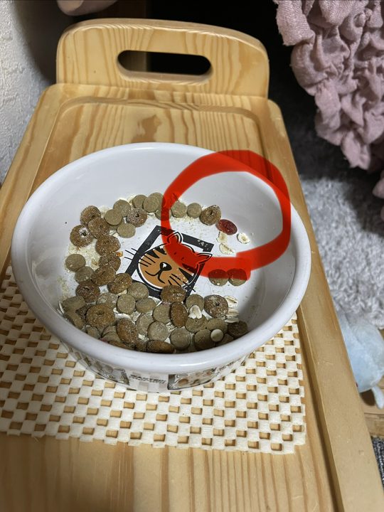 食べ残されたアンチノールのカプセル(赤丸)