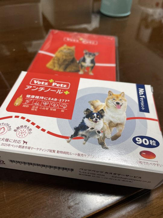 公式サイトから届いたアンチノール プラス 90粒の箱